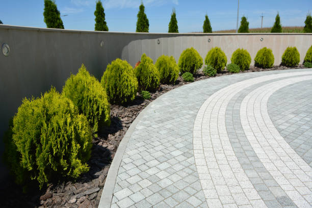 Best Driveway Pavers Near Me  in Friendswood, TX